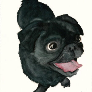 dipinto acquerello - cane - carlino nero piccolo