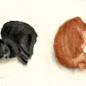dipinto acquerello - gattino - due gatti dormendo - uno nero e uno caramello