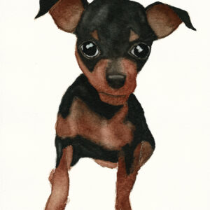 dipinto acquerello - cane - Pincher - colore caramello e nero - occhi neri
