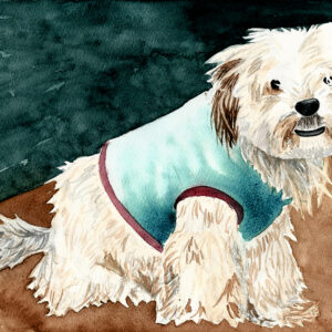 dipinto acquerello - cane - bianco - occhi neri